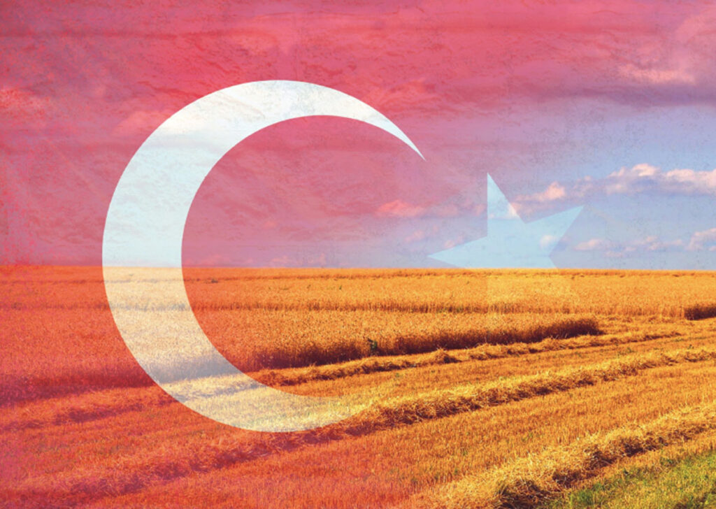 Antalya’dan Dünyaya: Ekin Tarım İhracat Serüveni