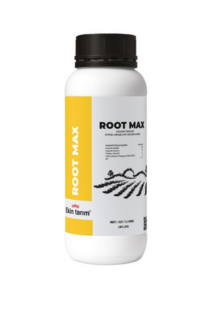 ROOT MAX
